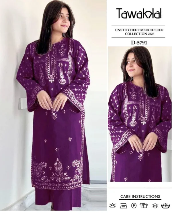 2 Pcs Women's Unstitched Embroidered Suit